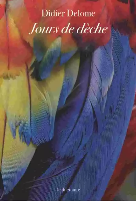 le livre Jours de dèche de Didier Delome Le Dilettante