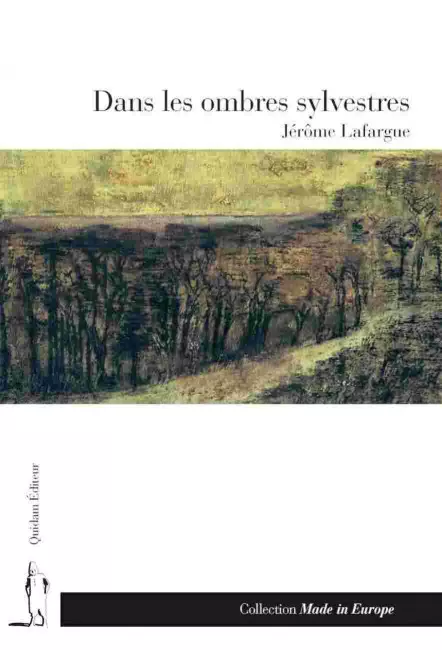 Le livre Dans les ombres sylvestres Quidam Jérôme Lafargue