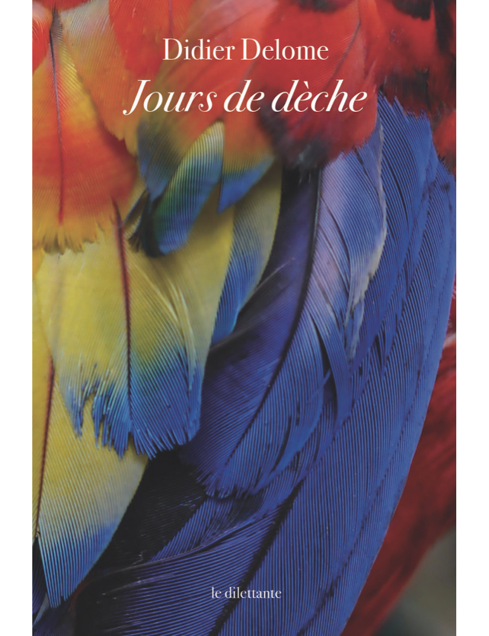 le livre Jours de dèche de Didier Delome Le Dilettante