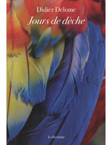 le livre Jours de dèche de Didier Delome Le Dilettante