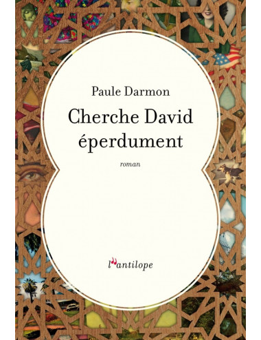 Le livre Cherche David éperdument de Paule Darmon éditions de l'Antilope