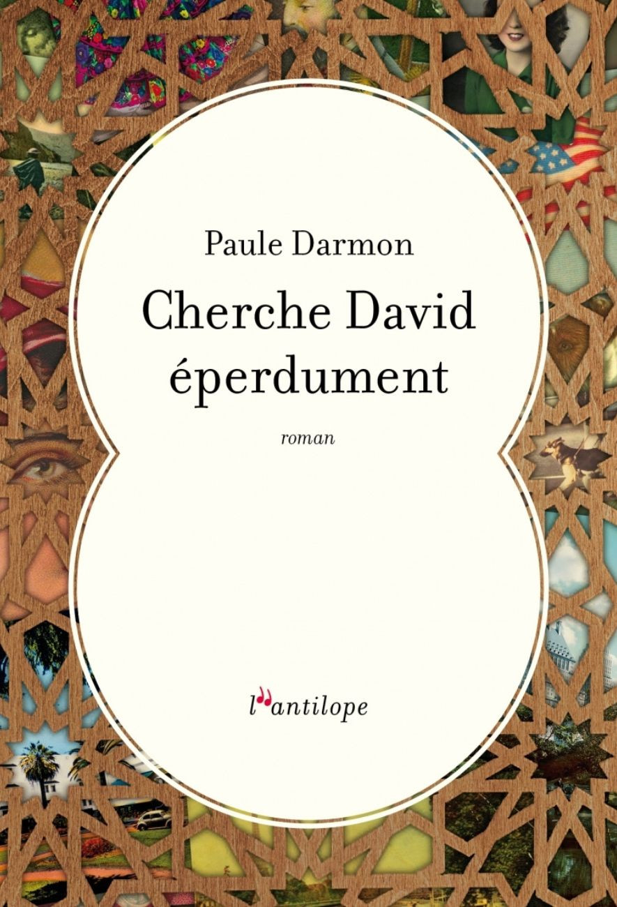 Le livre Cherche David éperdument de Paule Darmon éditions de l'Antilope